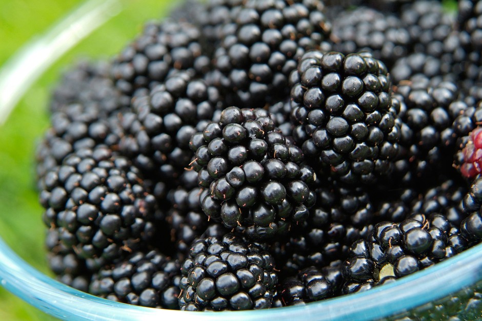 BLACK BERRY